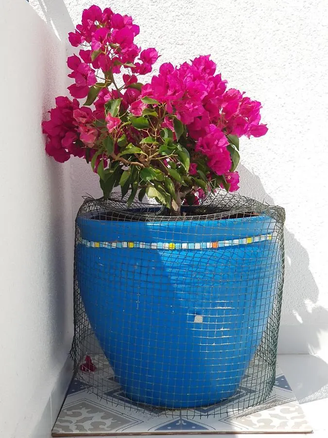 בודרום Apartment Begonville